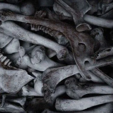 Bones and Teeth-Elder Wolves Pack