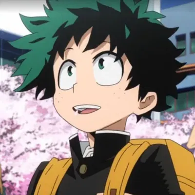 Izuku Midoriya | Deku 