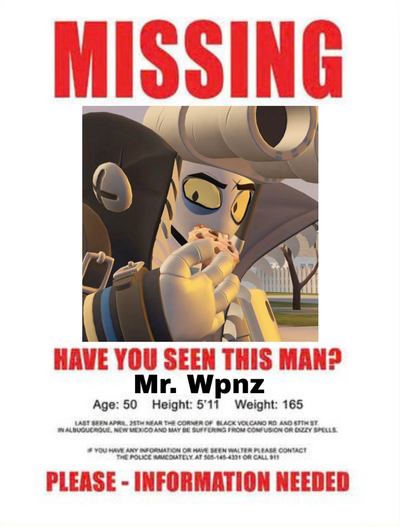 HAVE YOU SEEN HIM?