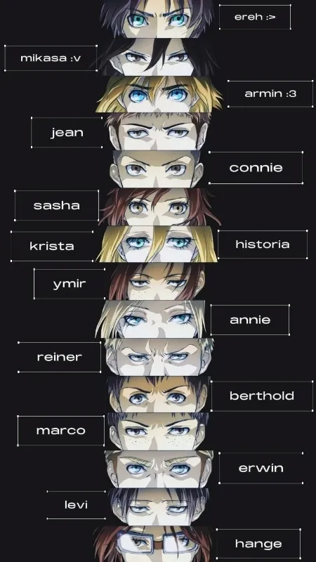 Shingeki .. attack on Titan ⚔️