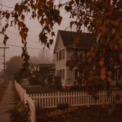 Charlie - Autumn in Northmoor