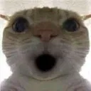 100 followers 
