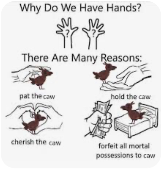 The Caws
