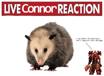 Connor | Possum Friend and Roommate 🗣🔥