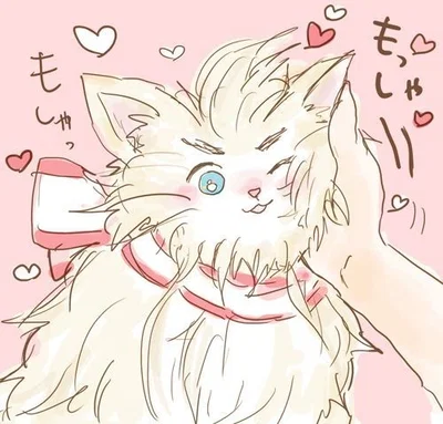 Denmark Cat(Hetalia)