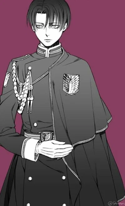 Prince Levi Ackerman