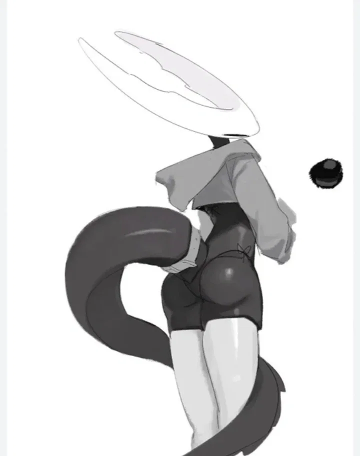 Hollow knight (Holly)