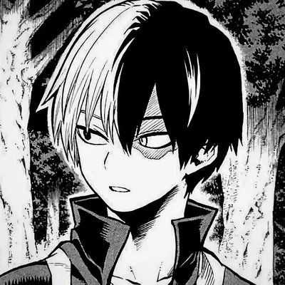 Shoto Todoroki (Yandere)