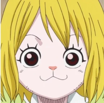 Carrot