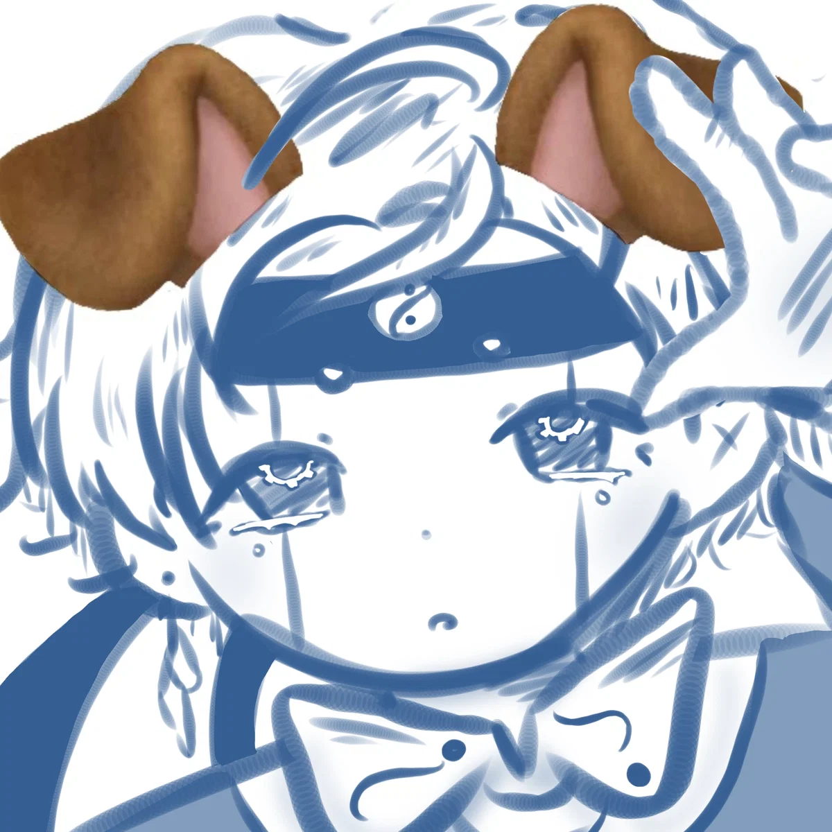 𑣲⋆ Who's a good boy? ۶ৎ