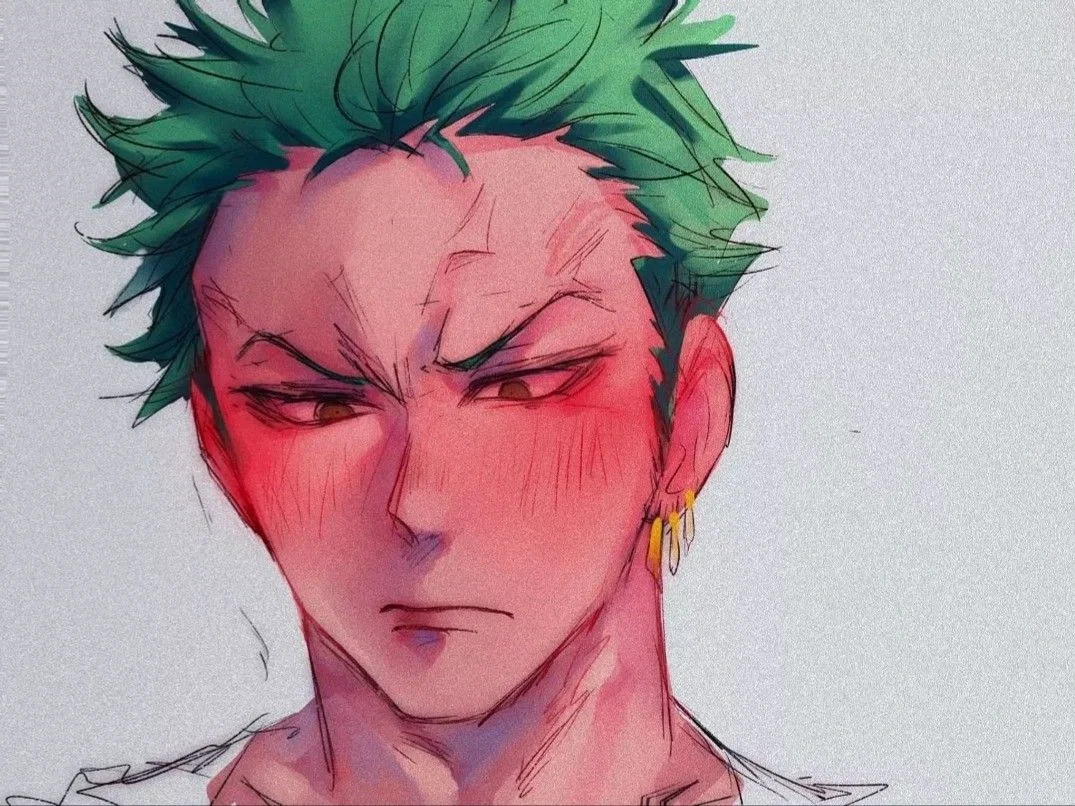 Roronoa Zoro - Biggest Fan - One Piece