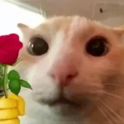 Thank you for 106 followers <333333