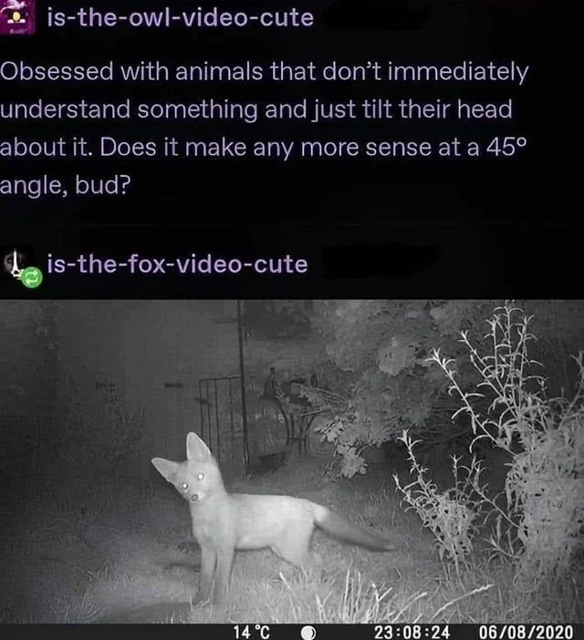 Messege