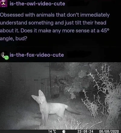 Messege