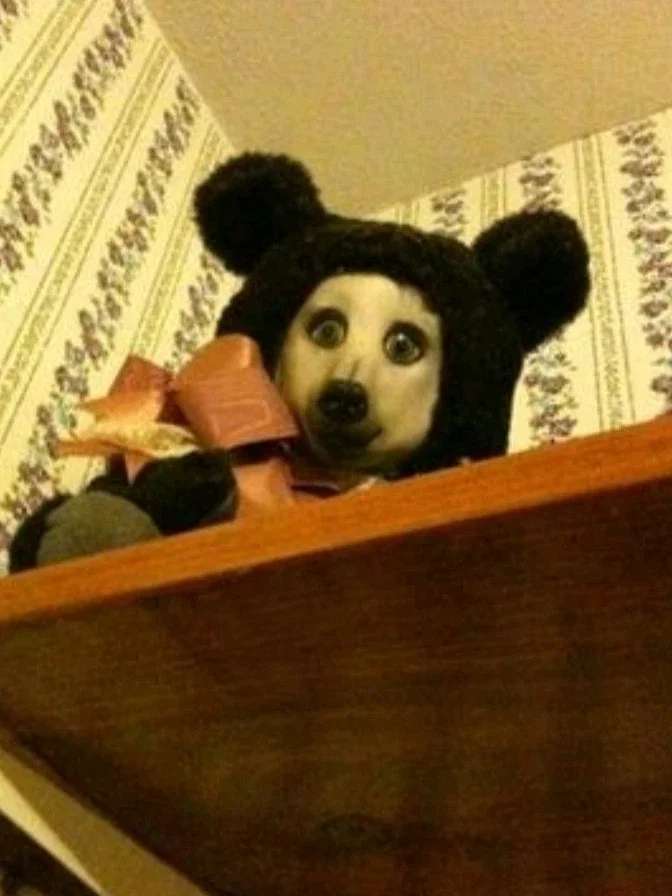 BEAR DOG || a demon in plush form littlerly in heat and begs you to uhh... Yk..