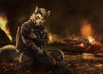 Fallen operation 