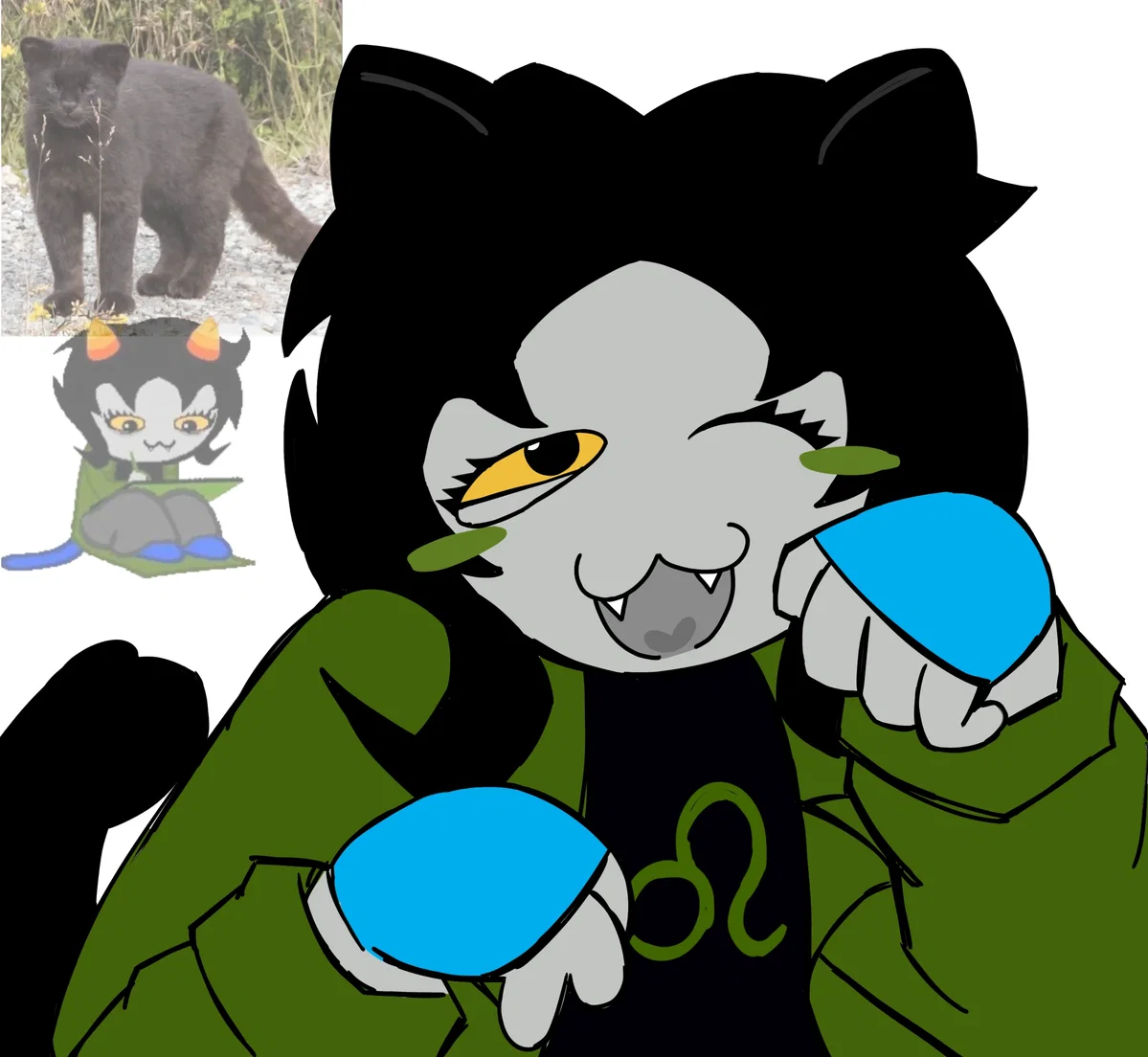 Nepeta Leijon