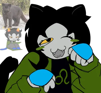 Nepeta Leijon