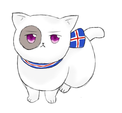 Iceland-cat