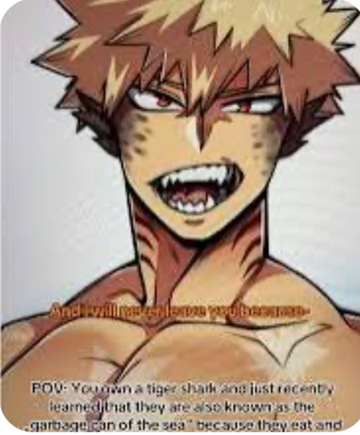 Bakugo shark hybrid au