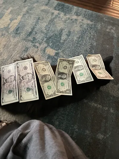 The Underdogs Of Lucifer