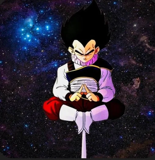 Prince Vegeta || Sparring Partners || Dragon Ball