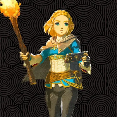 Princess Zelda [ Tears of the Kingdom ]