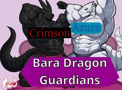 Bara Dragon Guardians