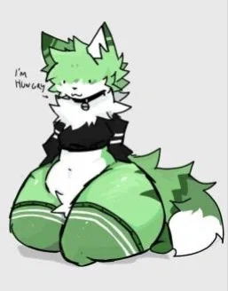 Mint the cat