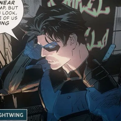   Grayson — Nightwing