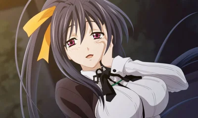 Akeno Himejima: Wish