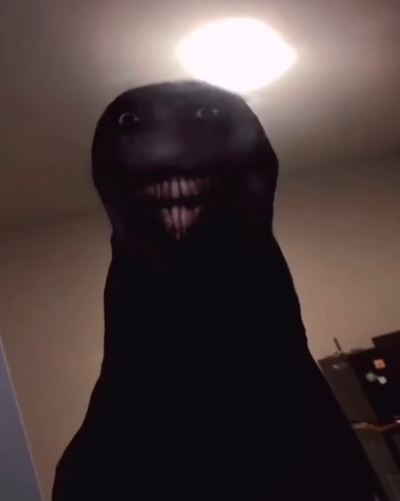 Hey guys meet my new pet !