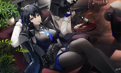 Servicing Texas - ARKNIGHTS