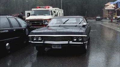 Supernatural Pursuit