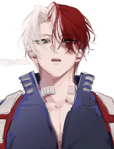 Completely in love | Shoto Todoroki