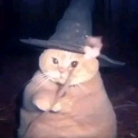The Wizard Cat