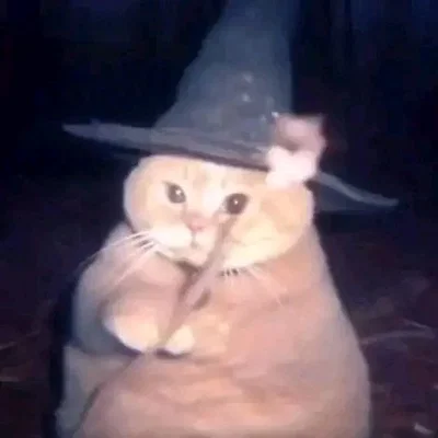The Wizard Cat