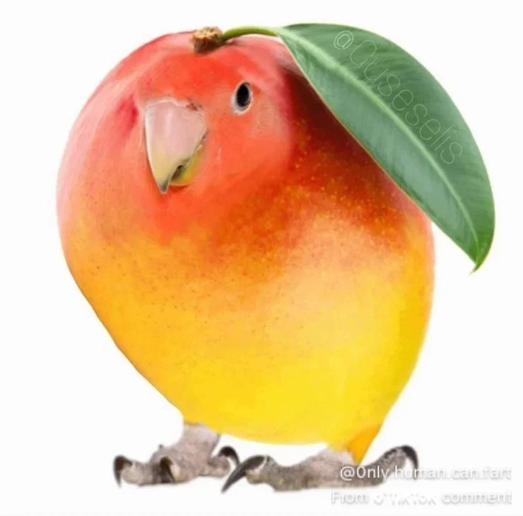 Bahamut The Mango Bird