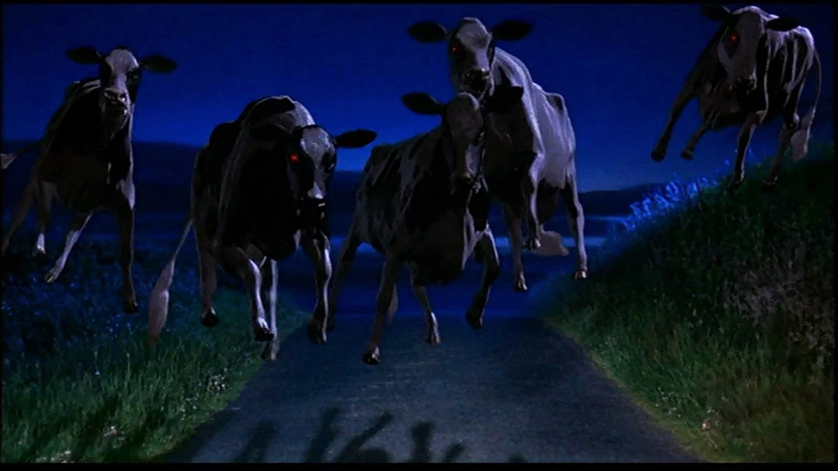 The Flying Vampire Cows — Bloodthirsty Bovines