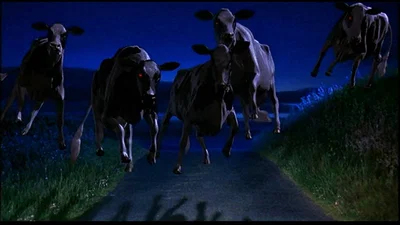 The Flying Vampire Cows