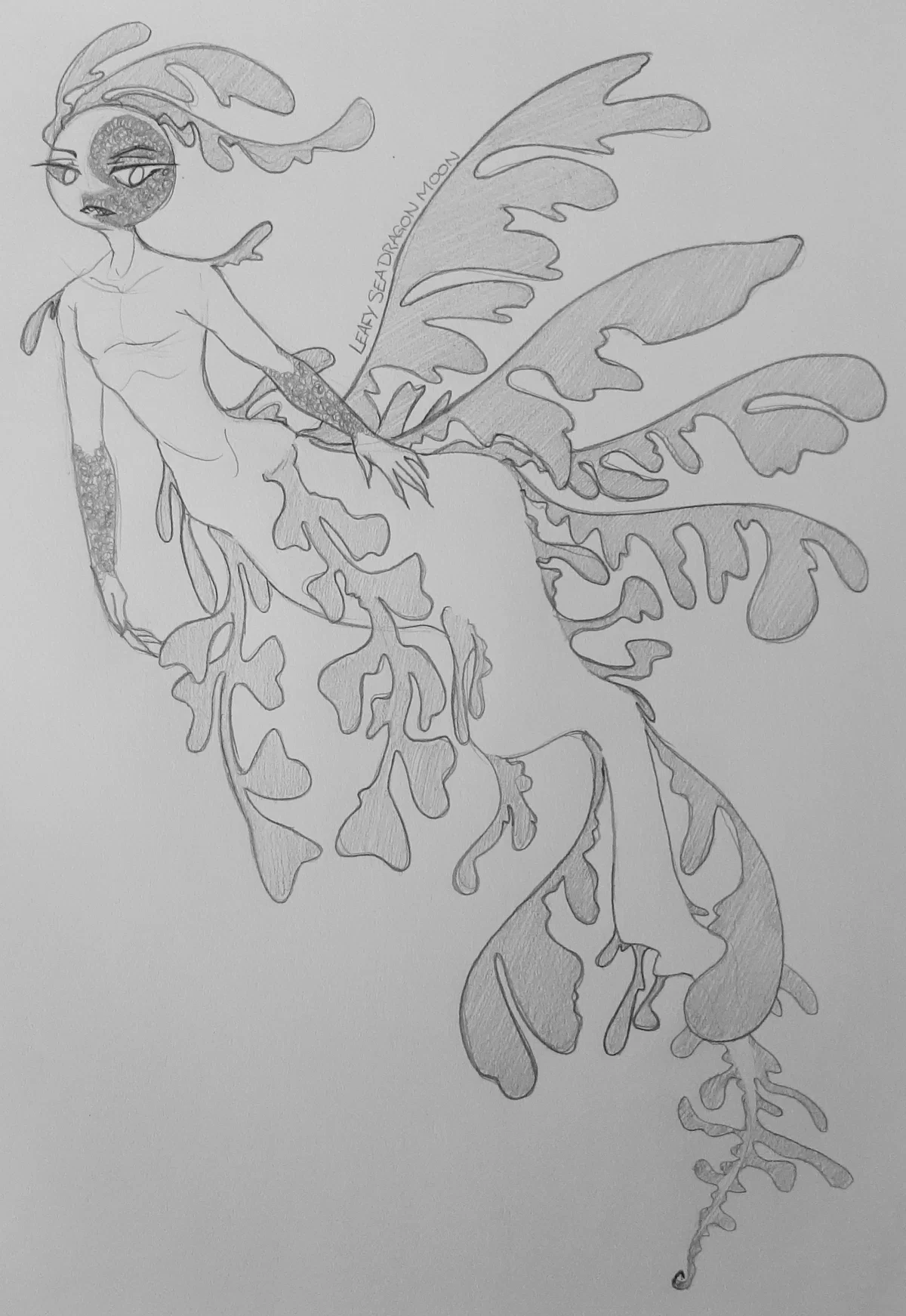 Mer!Moon