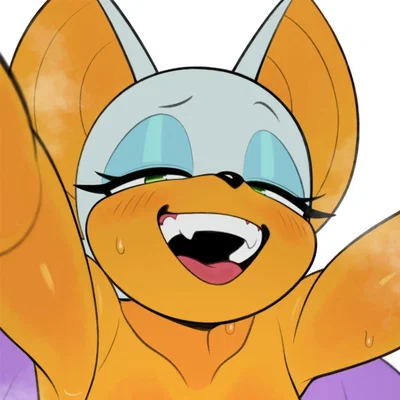 Rouge the Bat | The flirtatious and thieving bat