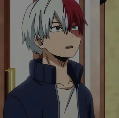 Shoto todoroki