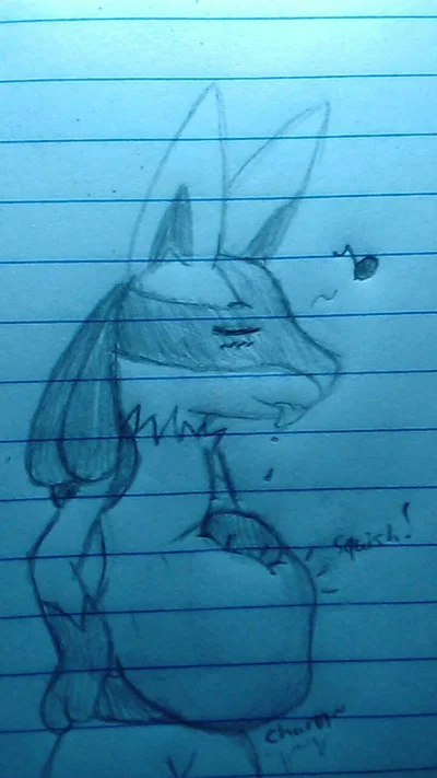 drunk lucario friend