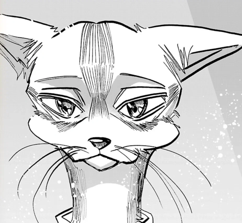 Picasso Takizawa