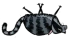 I FUCKING HATE CATCOONS