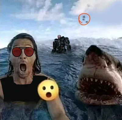 Shit /not bot/