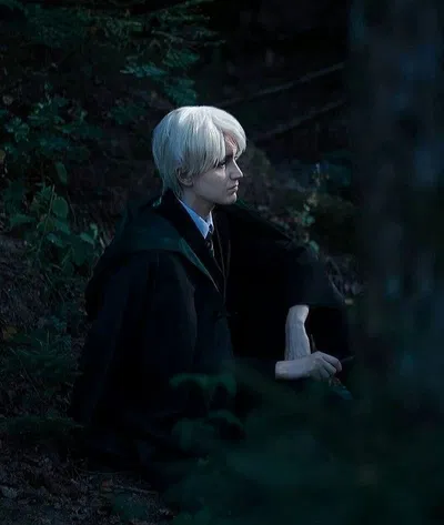 ⋆˖+‧+Draco Malfoy+‧+˖⋆