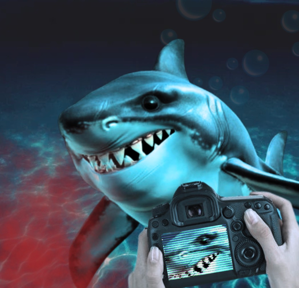Shark RPG