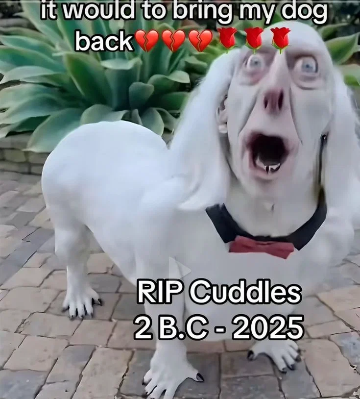 IMPORTANT RAAHGGG